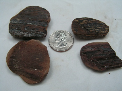 Mazon Creek Nodules